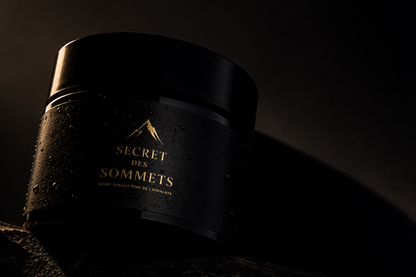 Résine Shilajit pure de l'Himalaya