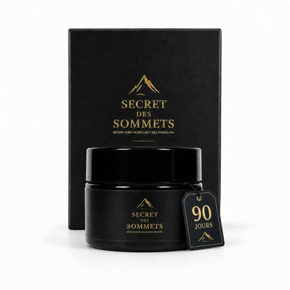 Résine Shilajit pure de l'Himalaya