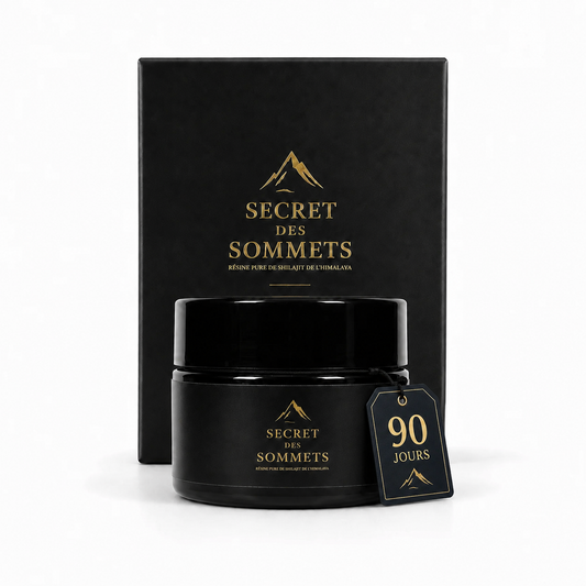 Résine Shilajit pure de l'Himalaya