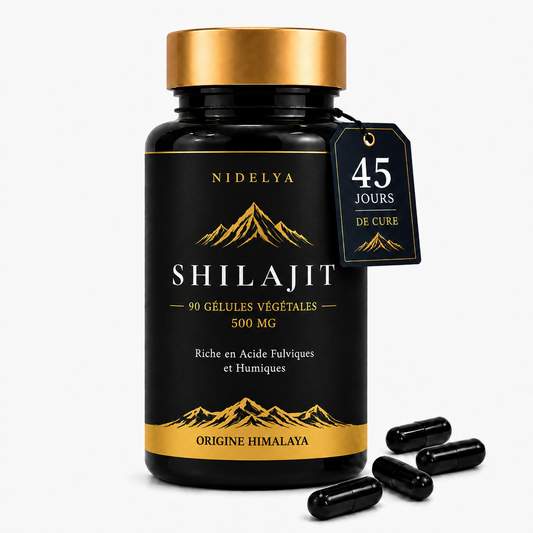 Shilajit Nidelya 90 gélules végétales — cure de 45 jours