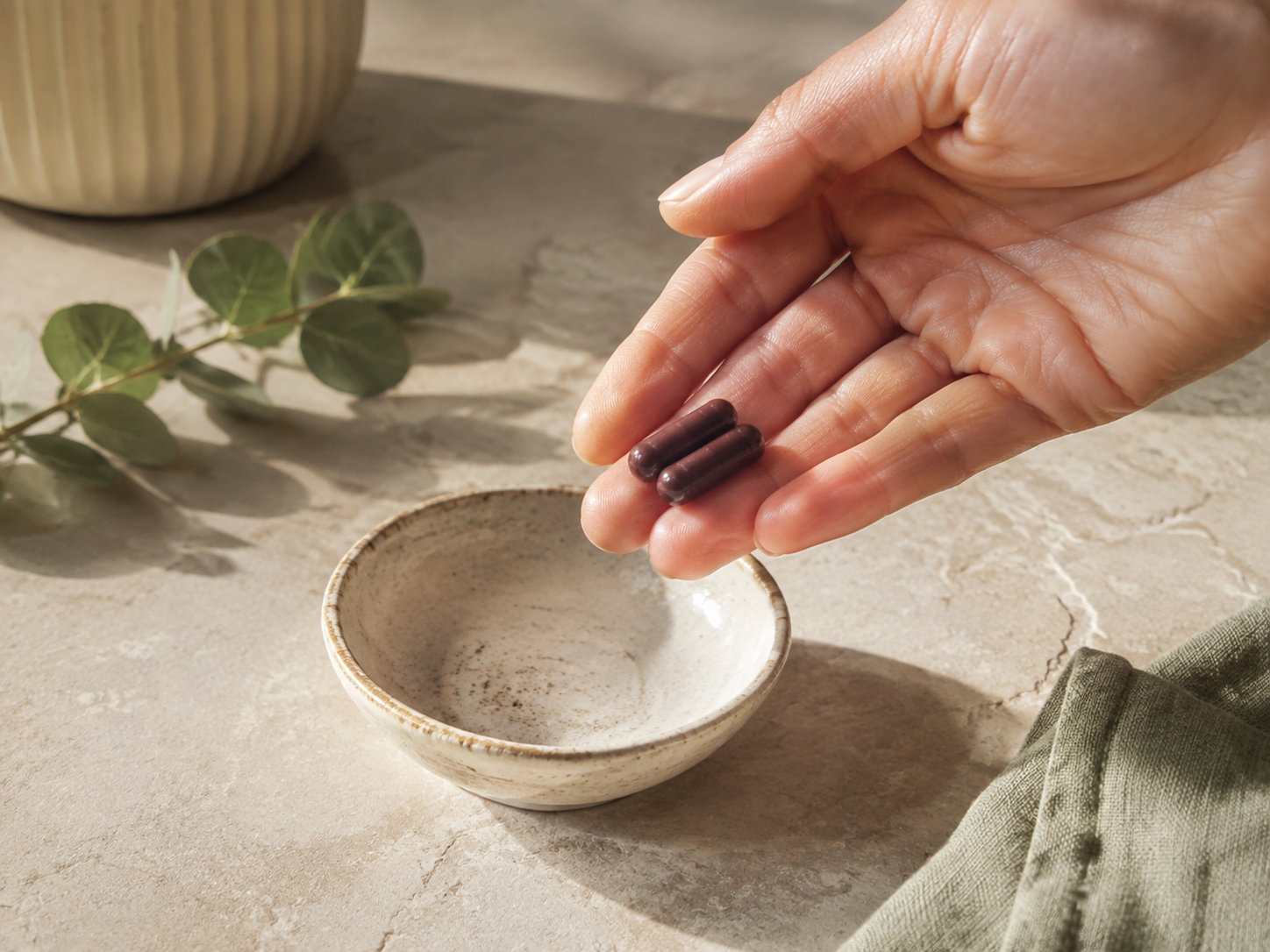 Vérifier la quantité pour Shilajit Gélules de l'Himalaya