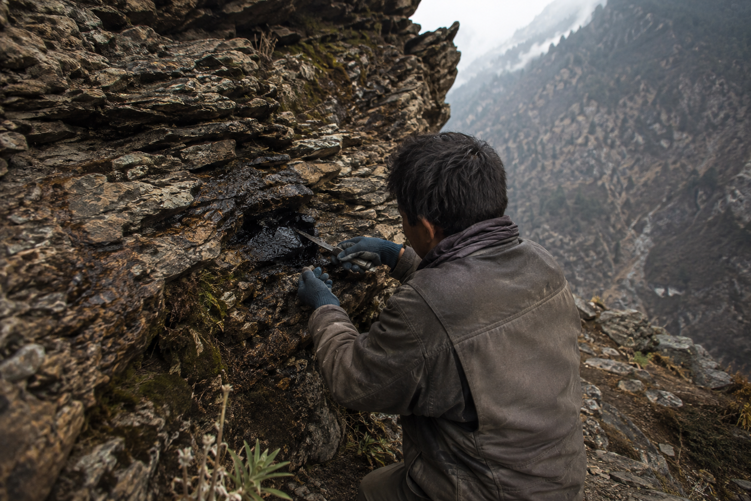 Récolteur prélevant du Shilajit dans une fissure rocheuse de l’Himalaya